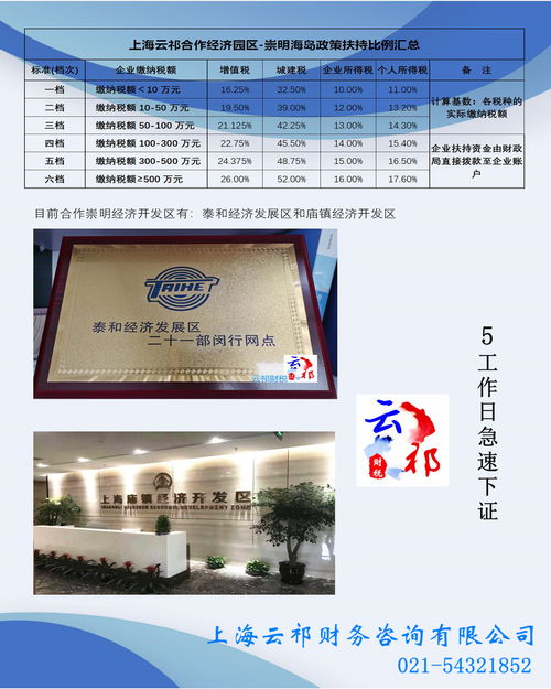 武漢公司注銷辦理 稅務(wù)代理公司的重要角色與流程解析